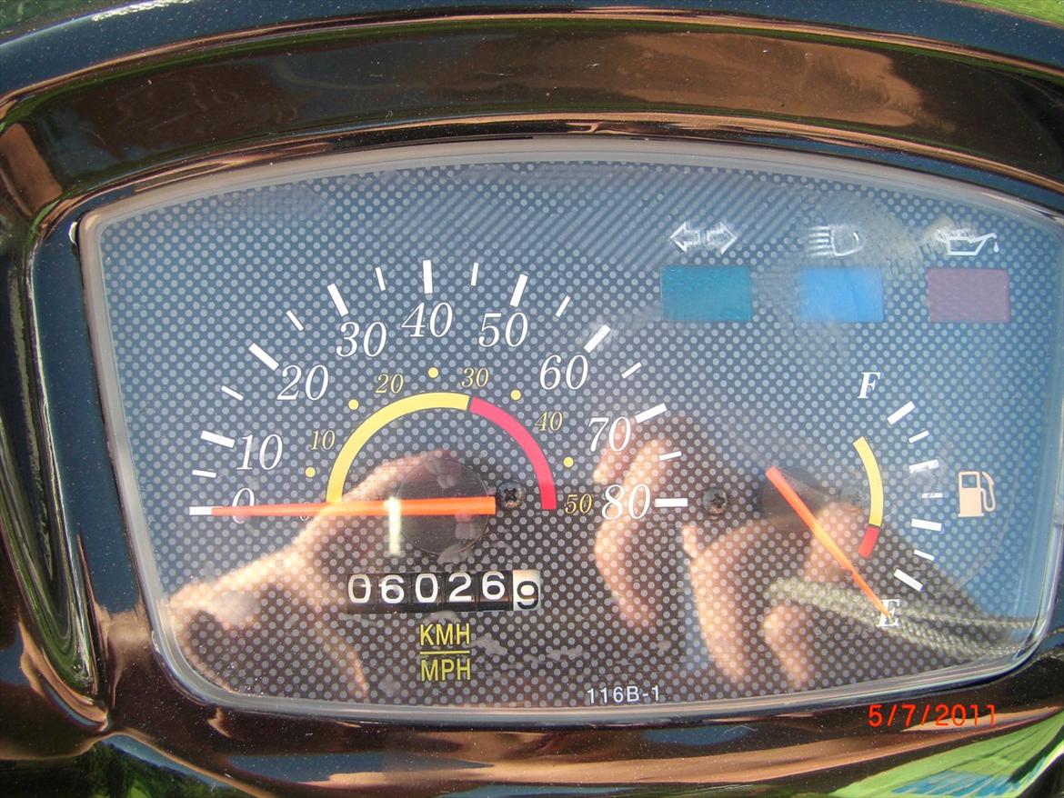 Adly Baboon billede 8