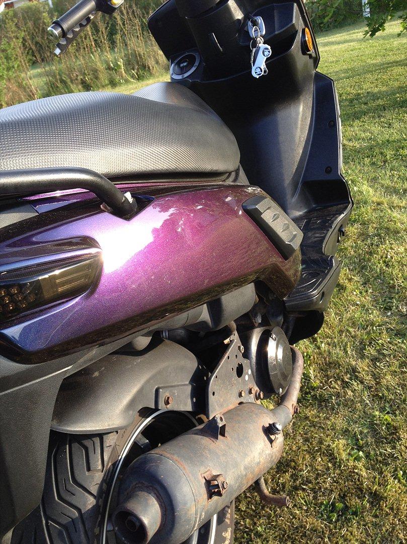 PGO X-hot T  i  l  s  a l  g  billede 12