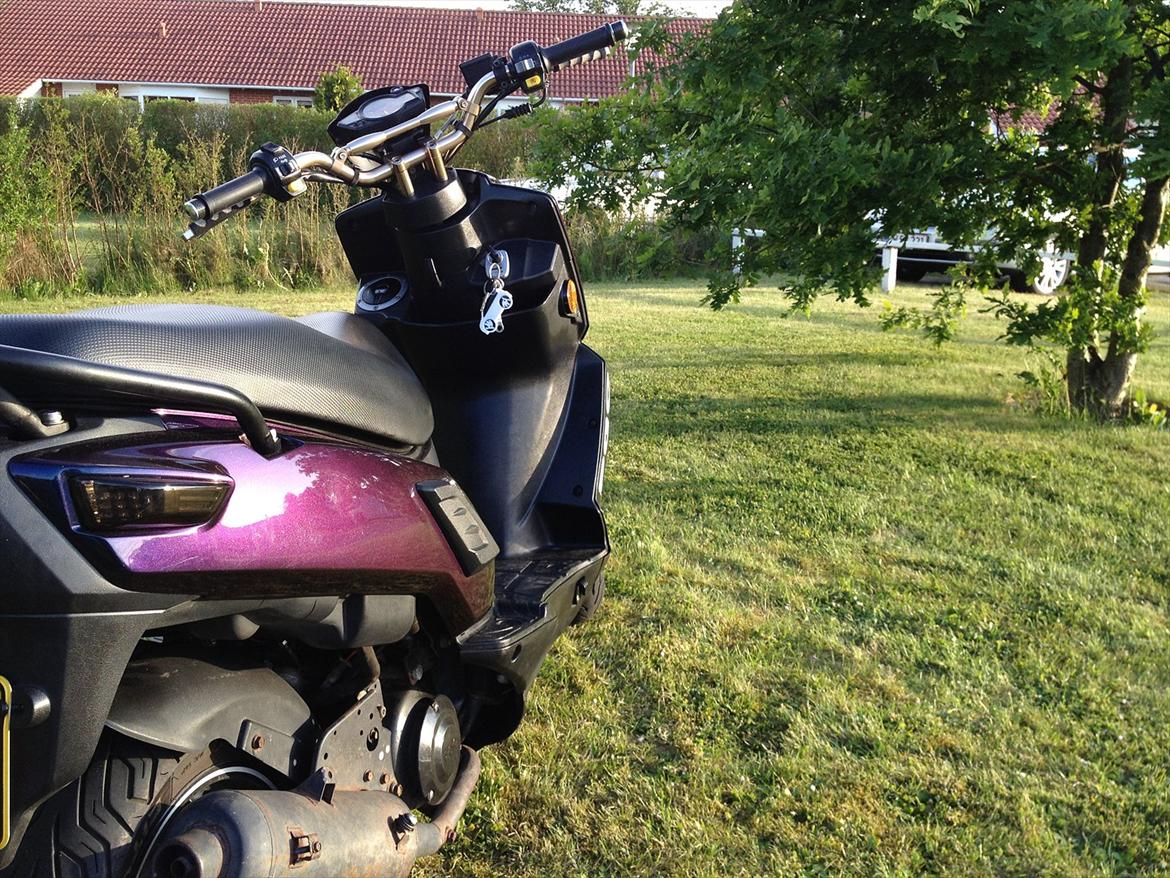 PGO X-hot T  i  l  s  a l  g  billede 13