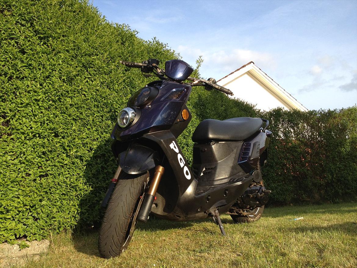 PGO X-hot T  i  l  s  a l  g  billede 15