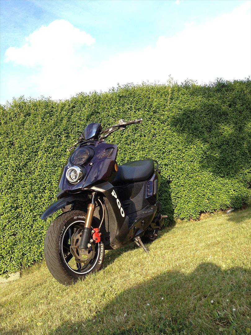 PGO X-hot T  i  l  s  a l  g  billede 16