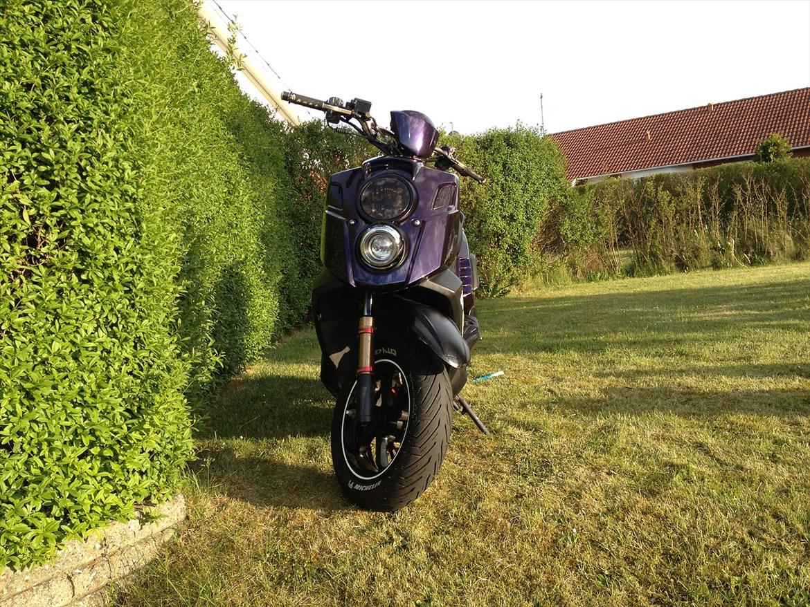 PGO X-hot T  i  l  s  a l  g  billede 17