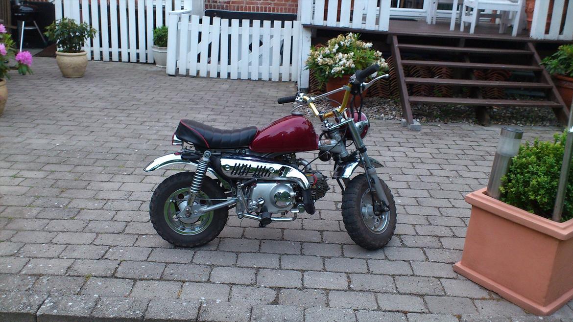 Skyteam monkey SOLGT billede 3