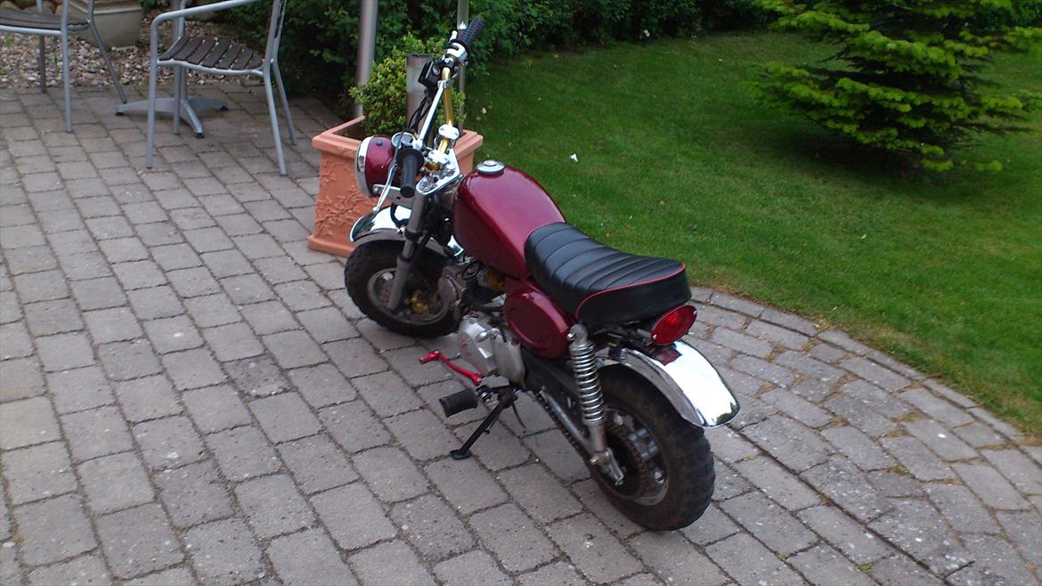 Skyteam monkey SOLGT billede 5