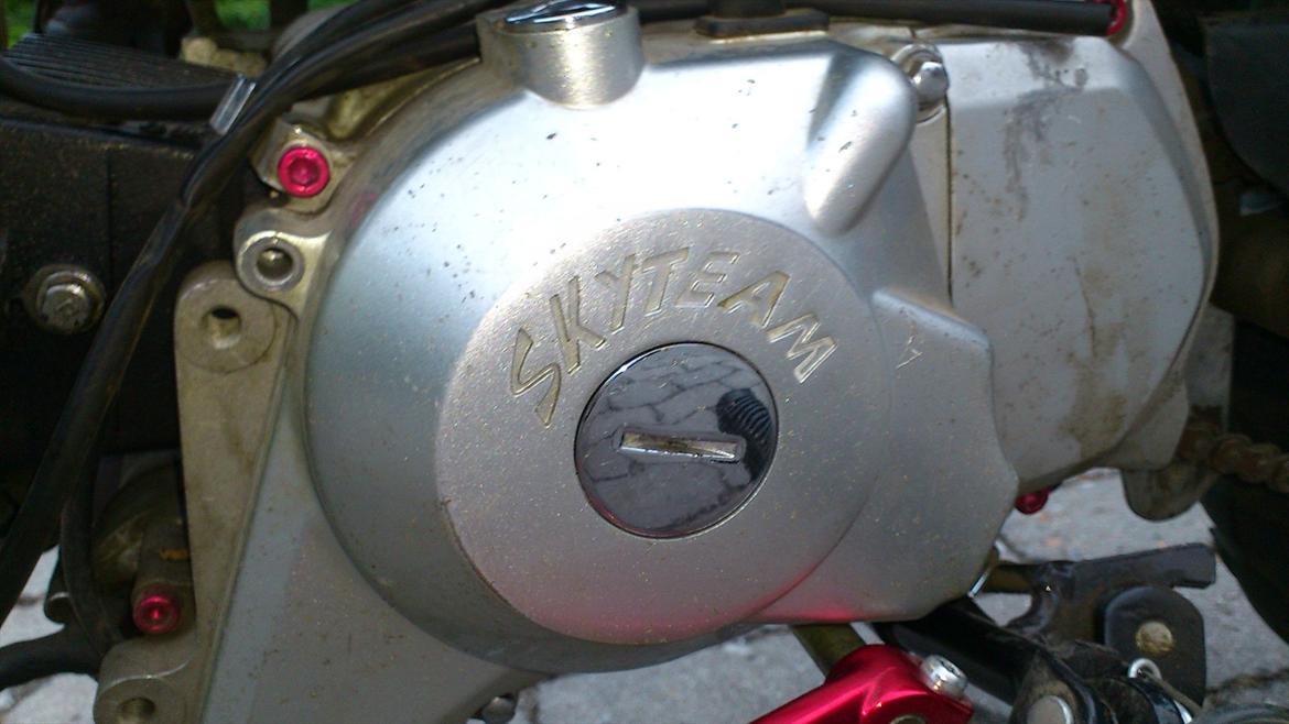 Skyteam monkey SOLGT billede 7