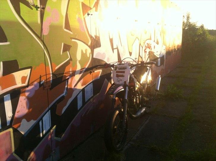 Derbi Senda Rm 85 billede 7