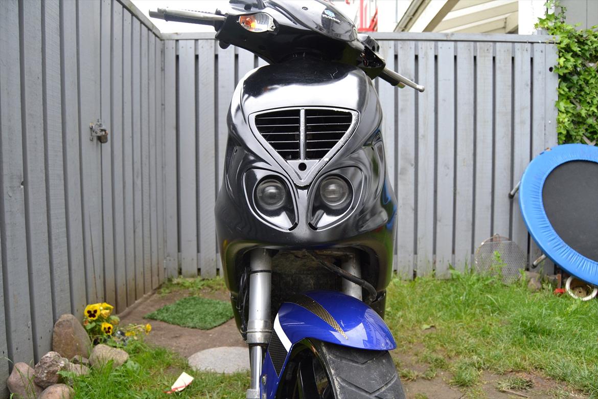 Piaggio nrg mc 3  billede 2