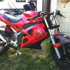 Gilera DNA