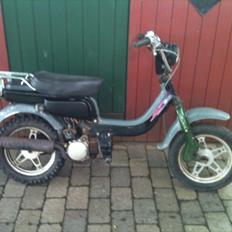 Suzuki Fz 50 *RACER*