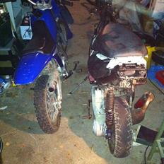 Aprilia sonic