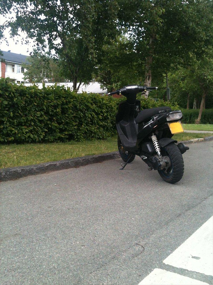 PGO Hot 50 - Carbon - billede 2