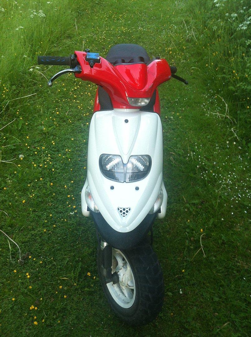 Gilera Stalker - Før renovering billede 13