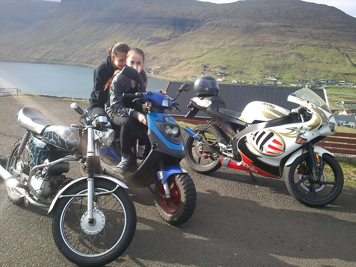 Yamaha FS1 billede 8