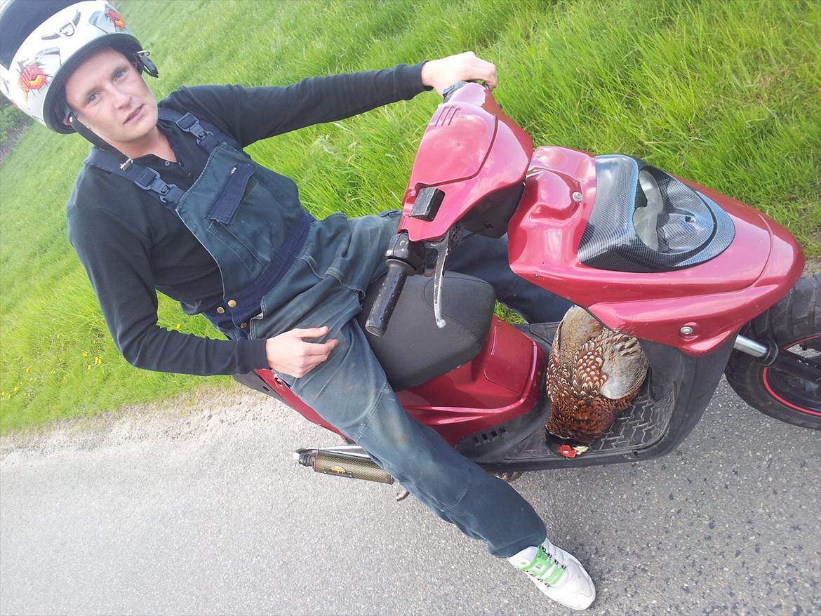 PGO hot 50  billede 4