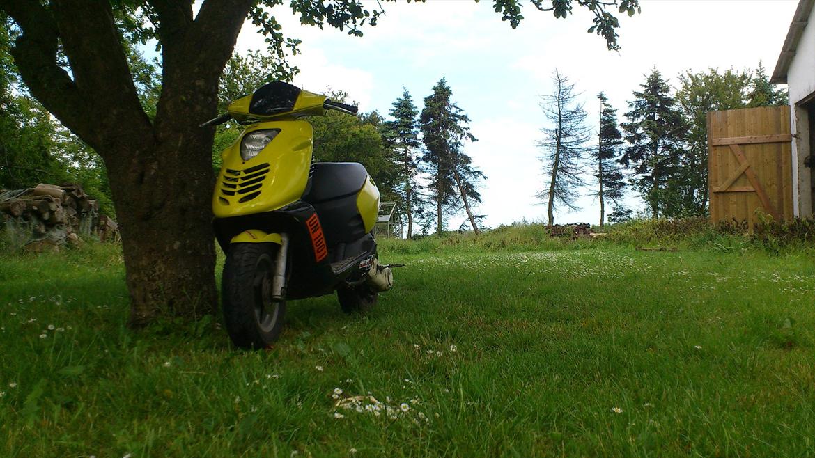 Aprilia Sonic billede 1