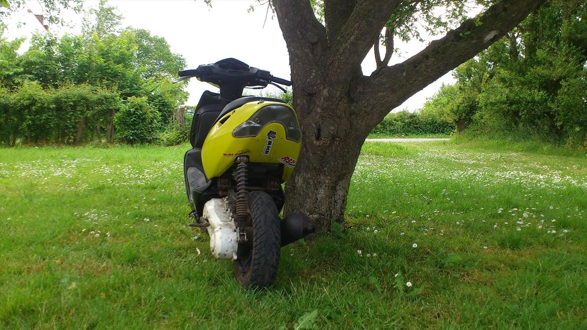 Aprilia Sonic billede 4