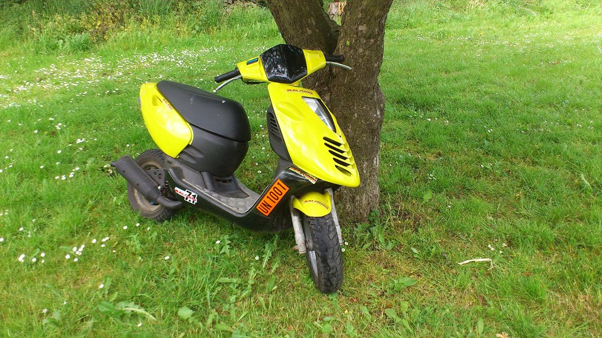 Aprilia Sonic billede 6