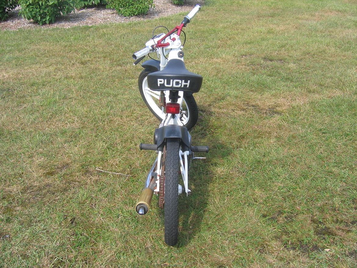 Puch Maxi K billede 5
