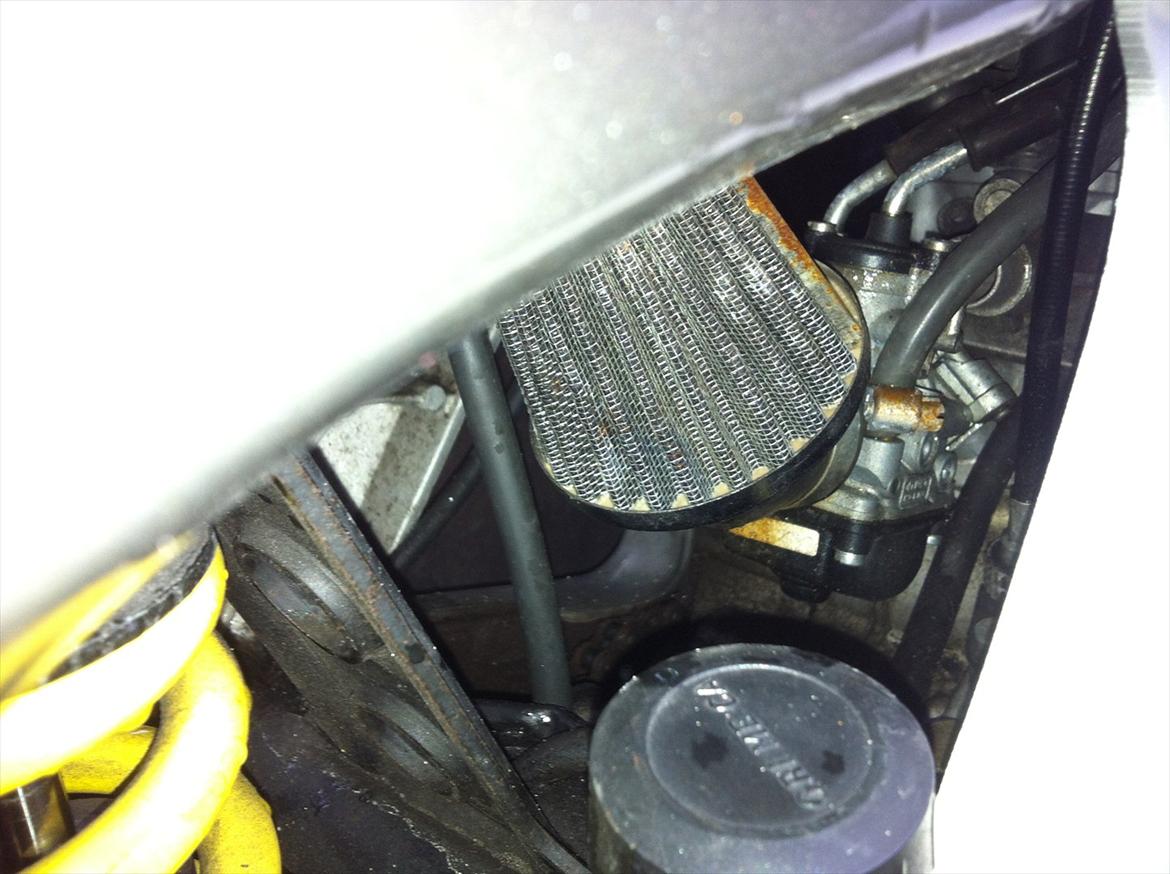 Aprilia RS50 billede 4