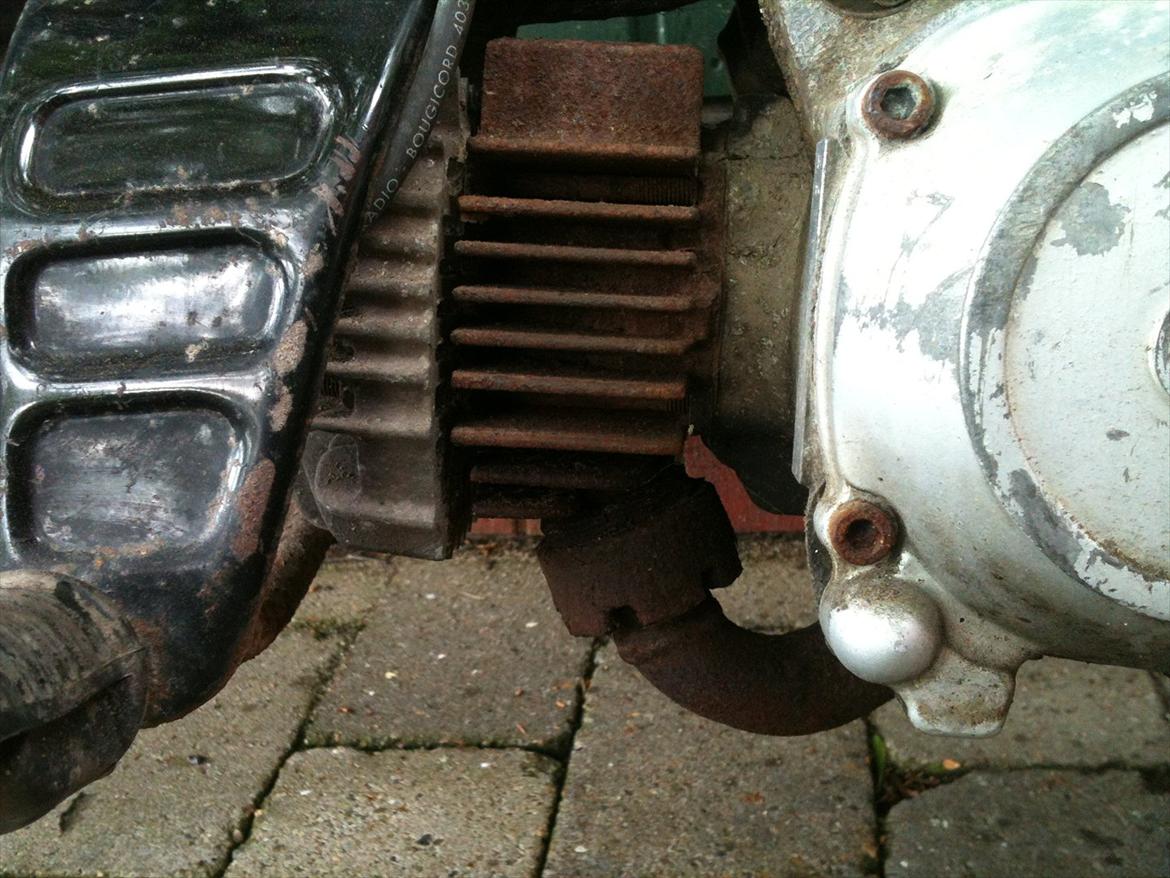 Suzuki Fz 50 *RACER* billede 6