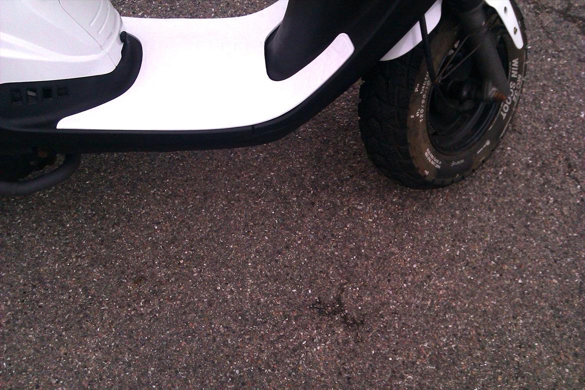 PGO Hot 50 billede 11