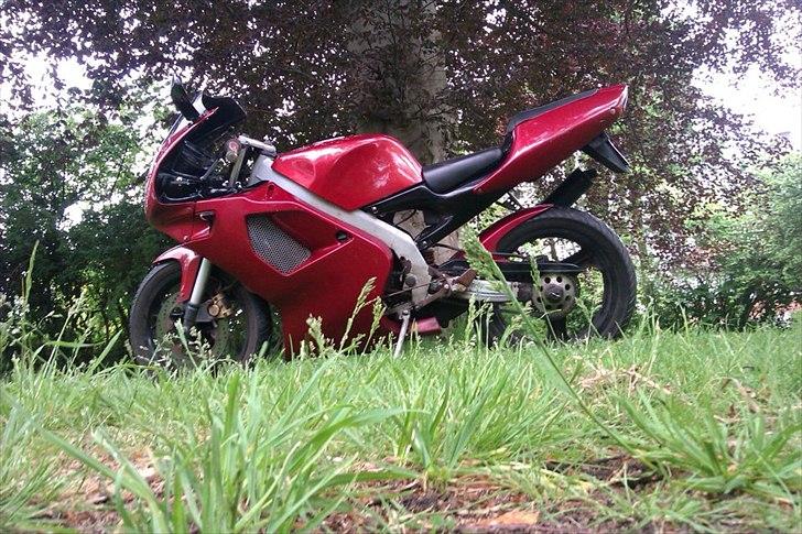 Aprilia RS50 - Rs 50 billede 1