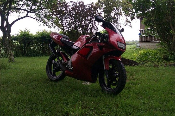 Aprilia RS50 billede 3