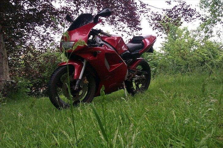 Aprilia RS50 billede 5