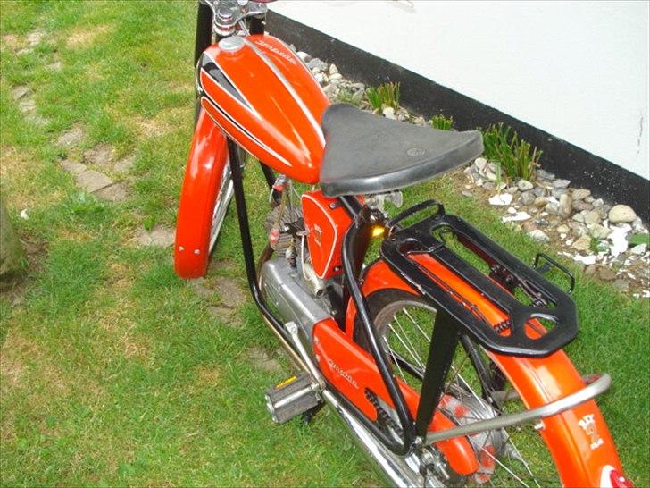 Veteraner Rex Impala billede 2