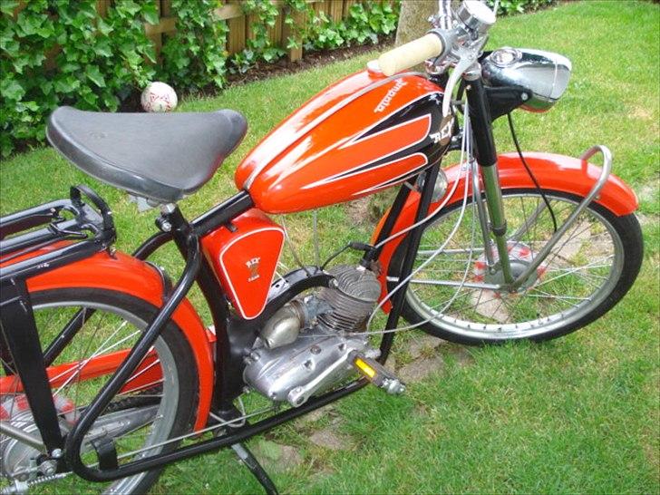 Veteraner Rex Impala billede 3
