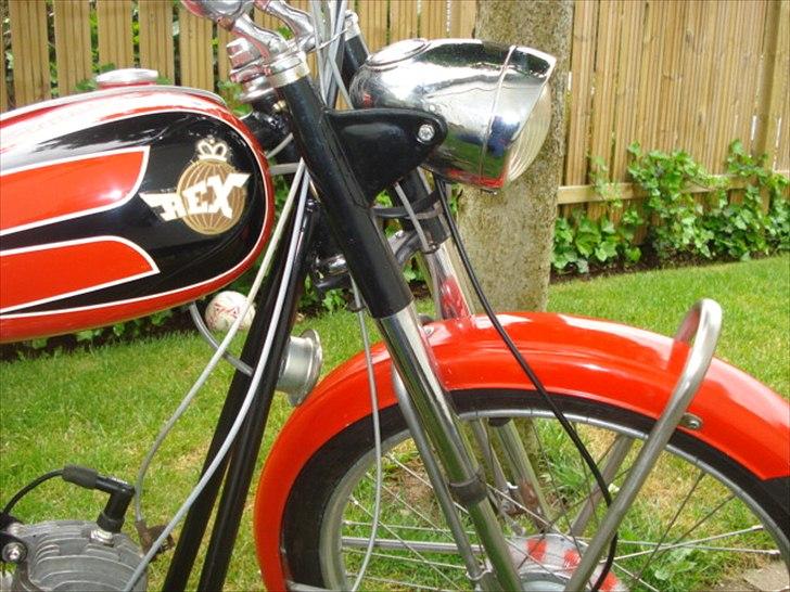 Veteraner Rex Impala billede 5