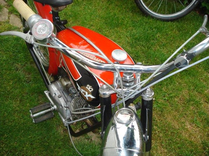 Veteraner Rex Impala billede 6