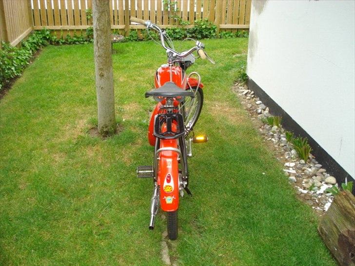 Veteraner Rex Impala billede 10
