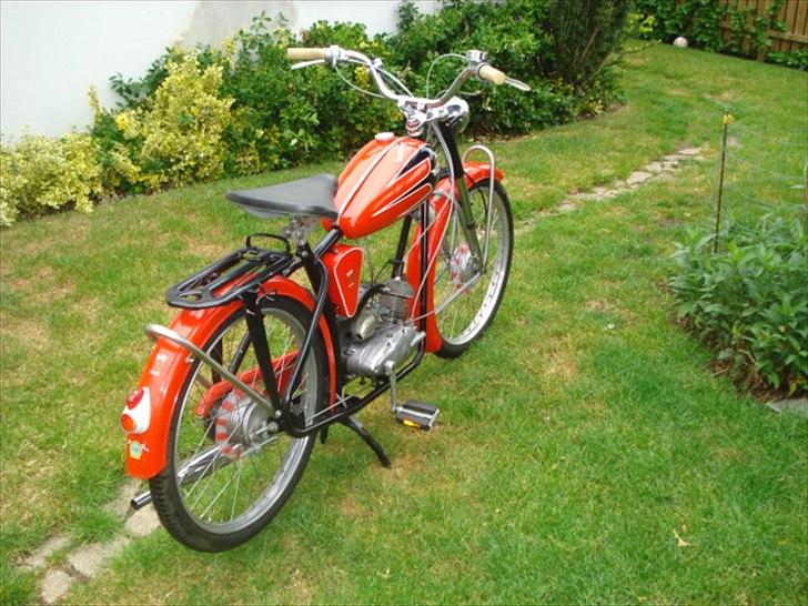 Veteraner Rex Impala billede 11