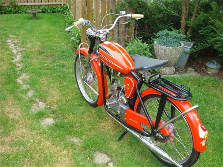 Veteraner Rex Impala billede 12
