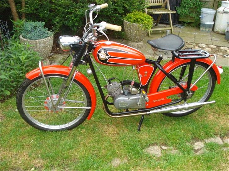 Veteraner Rex Impala billede 13