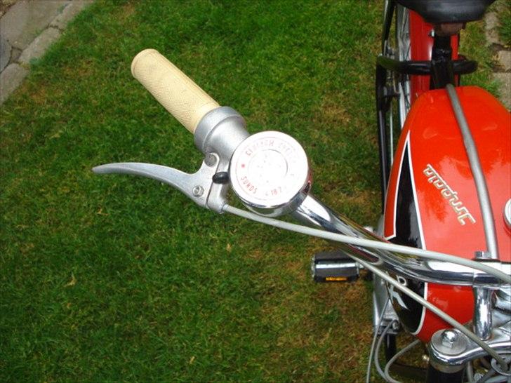 Veteraner Rex Impala billede 14