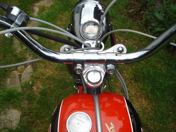 Veteraner Rex Impala billede 16