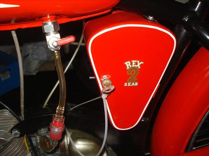 Veteraner Rex Impala billede 18