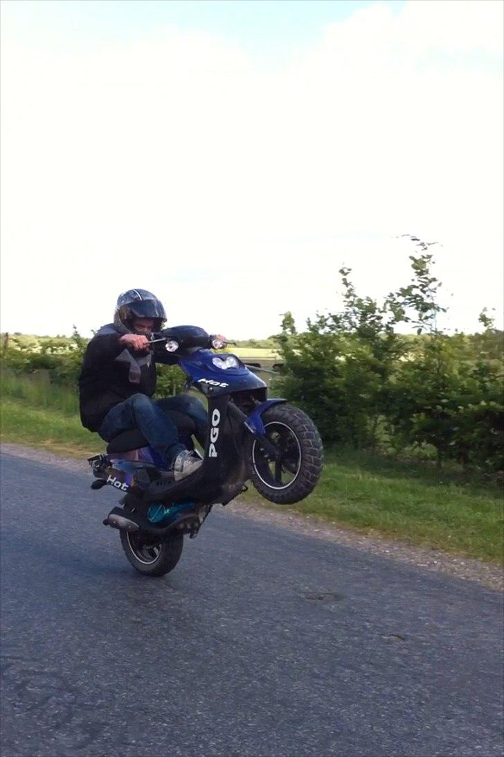 PGO Hot 50 SP billede 9