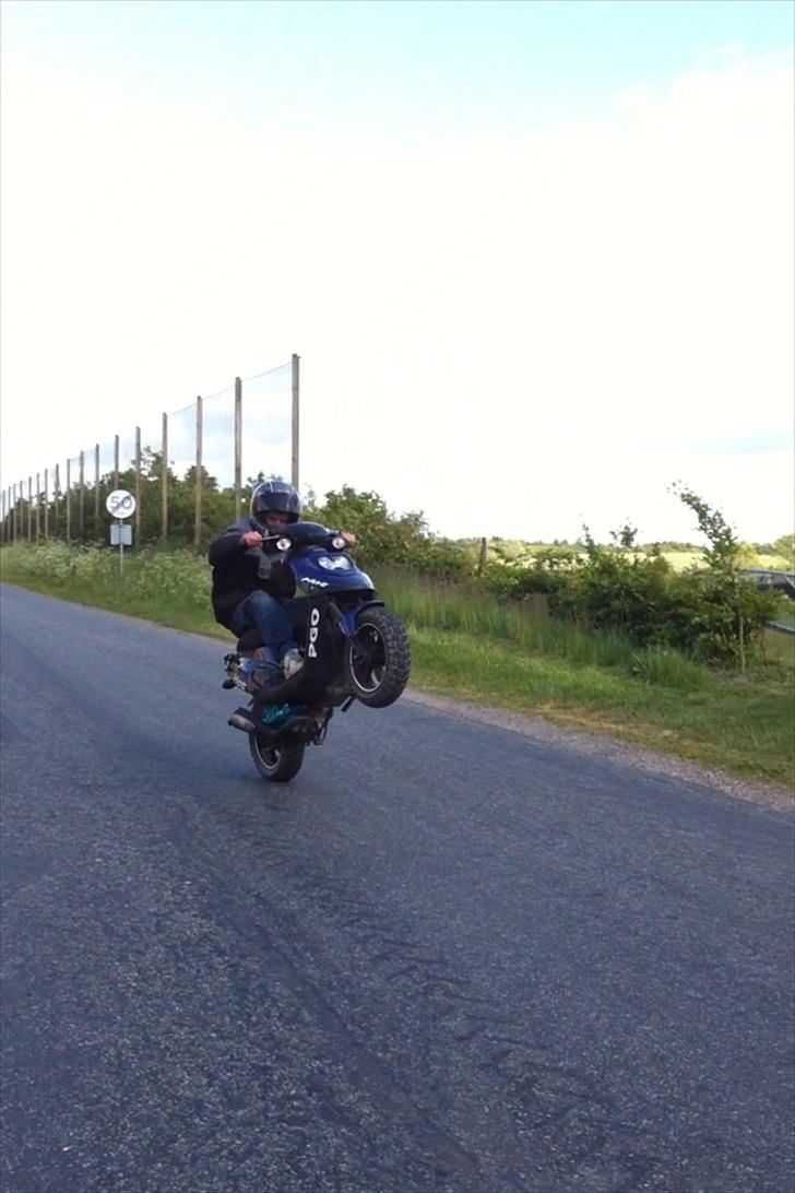 PGO Hot 50 SP billede 10