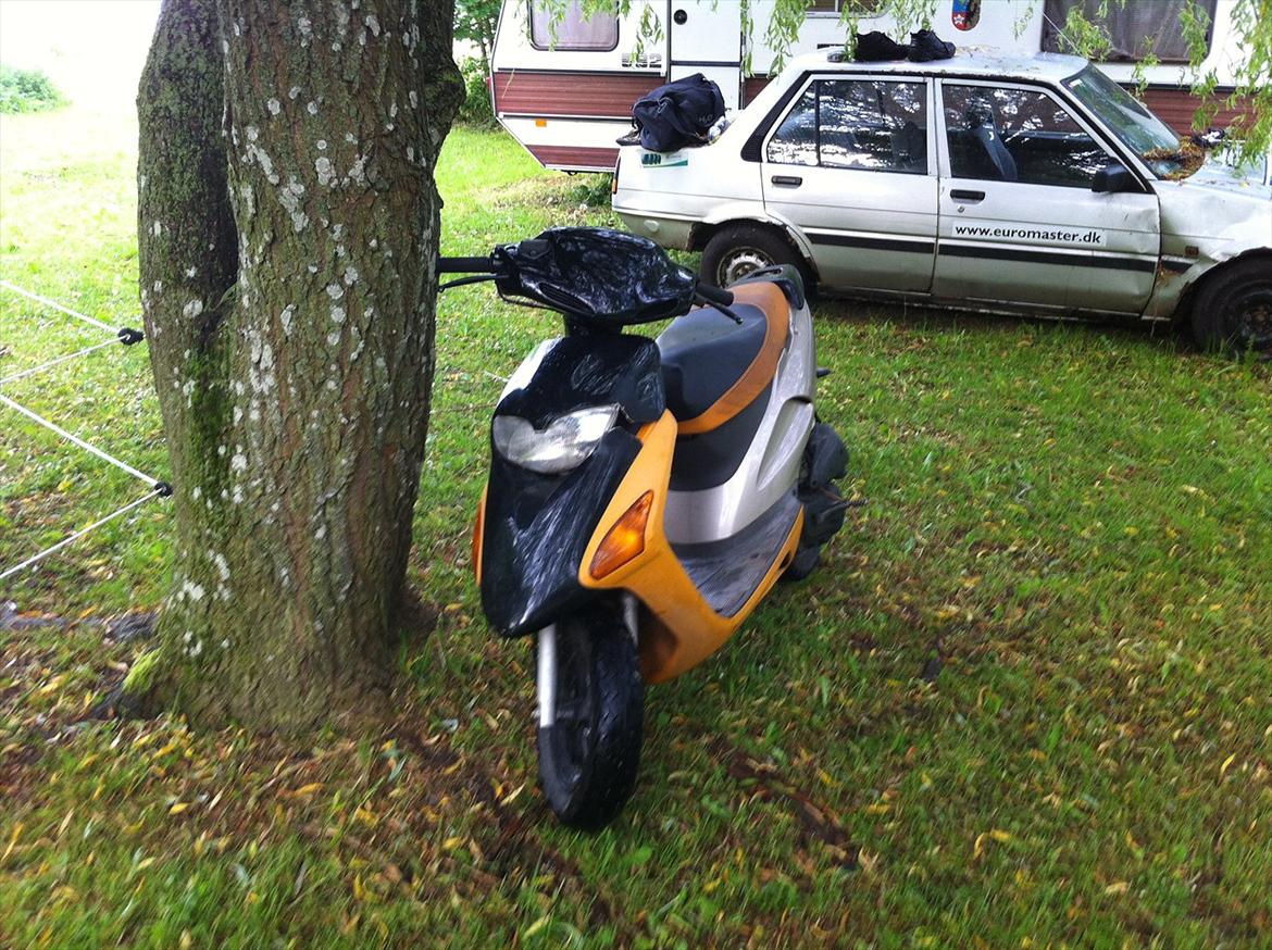 Honda sfx billede 2