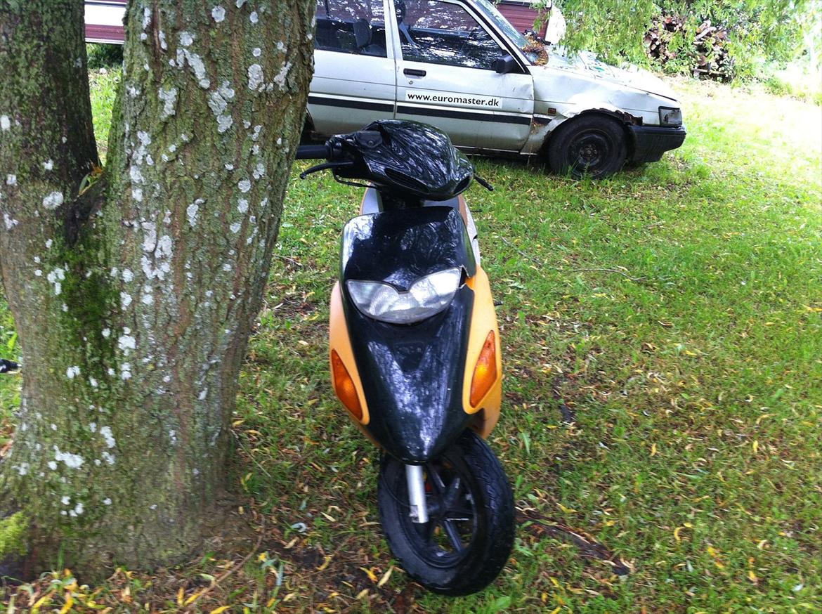 Honda sfx billede 10