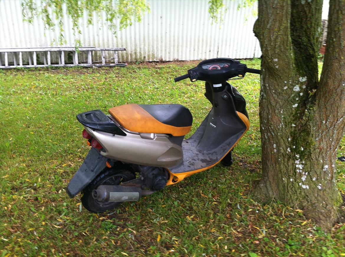 Honda sfx billede 11