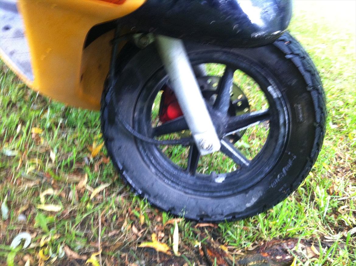 Honda sfx billede 12