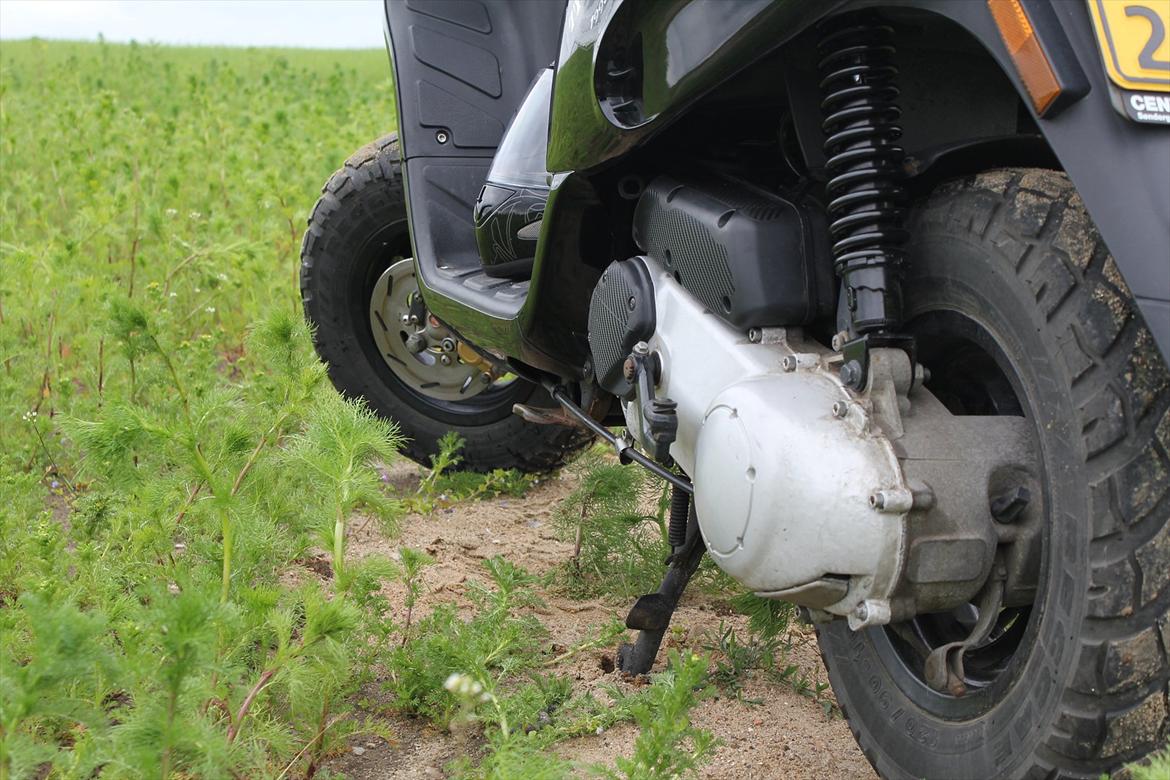 Piaggio Typhoon 50 (SOLGT) billede 6