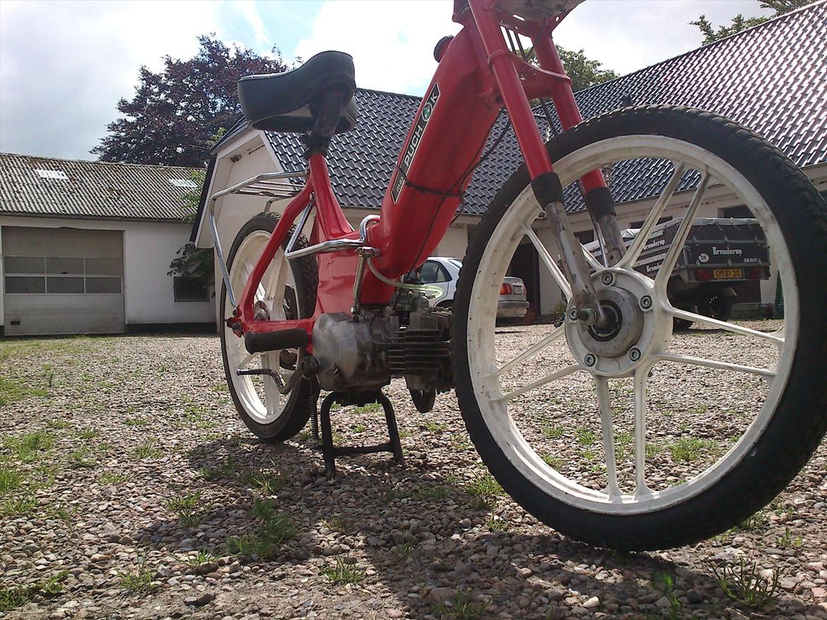 Puch Maxi K billede 8