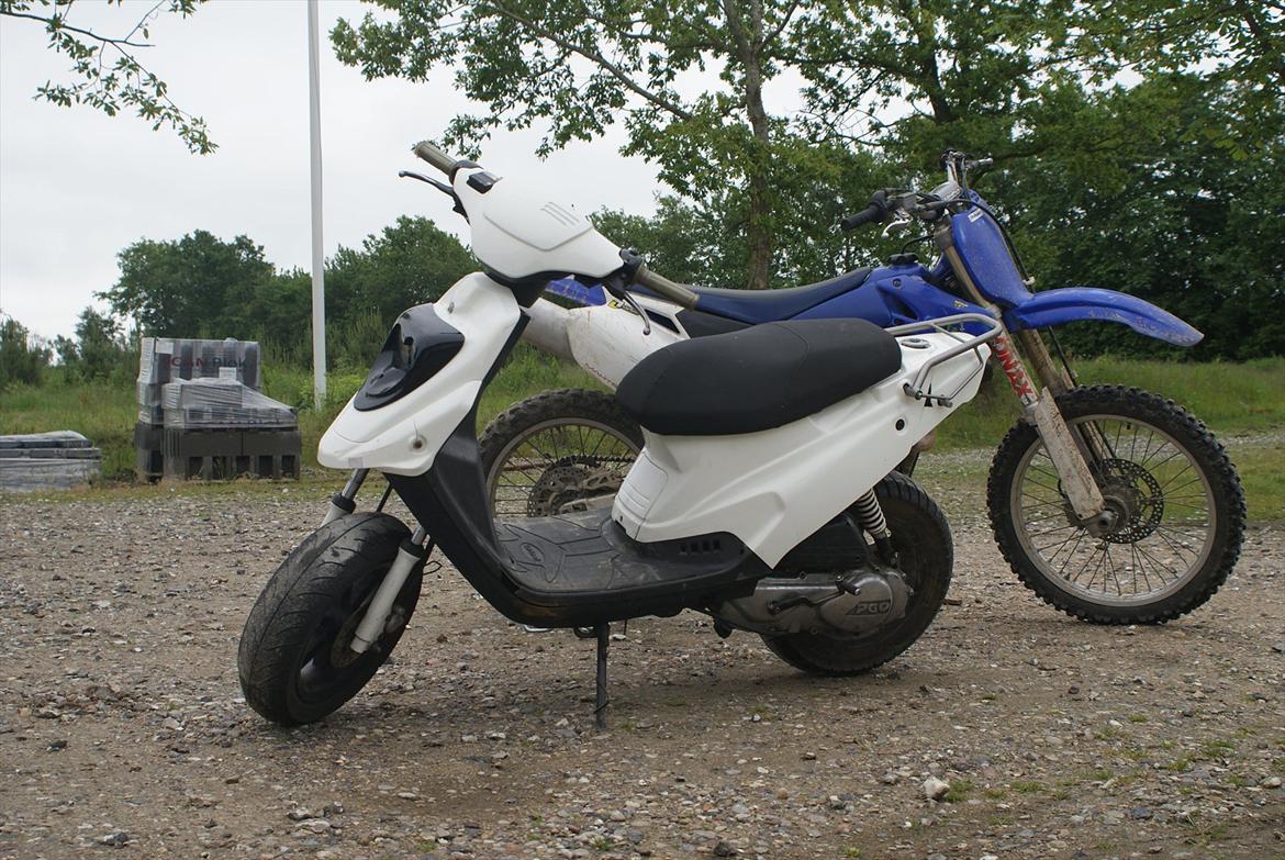 PGO Hot 50 AC - SD - Billede taget XX-XX-XXXX billede 8