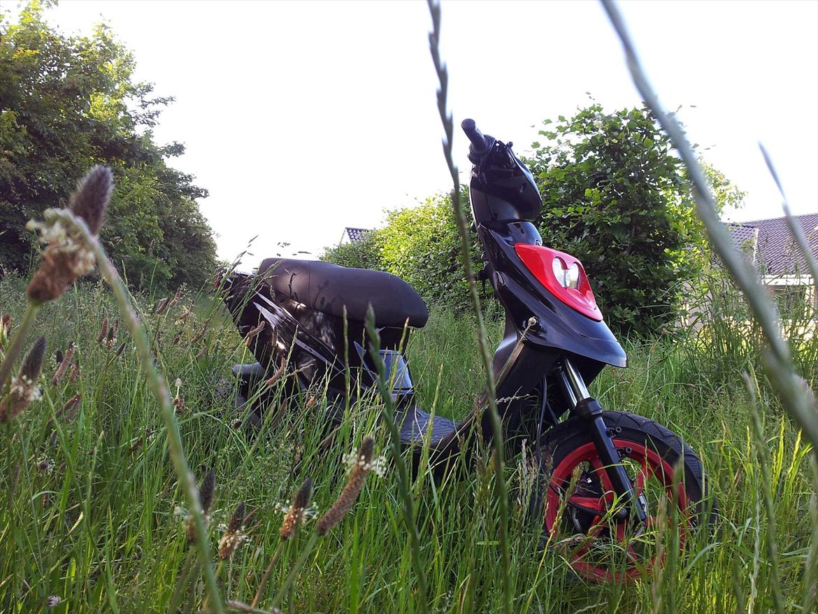 PGO HOT 50 billede 1