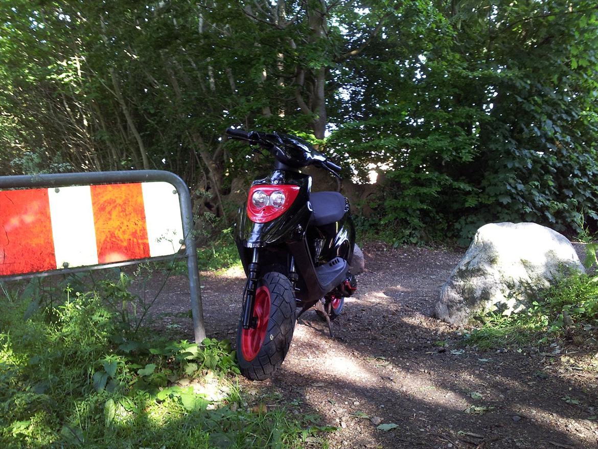 PGO HOT 50 billede 6